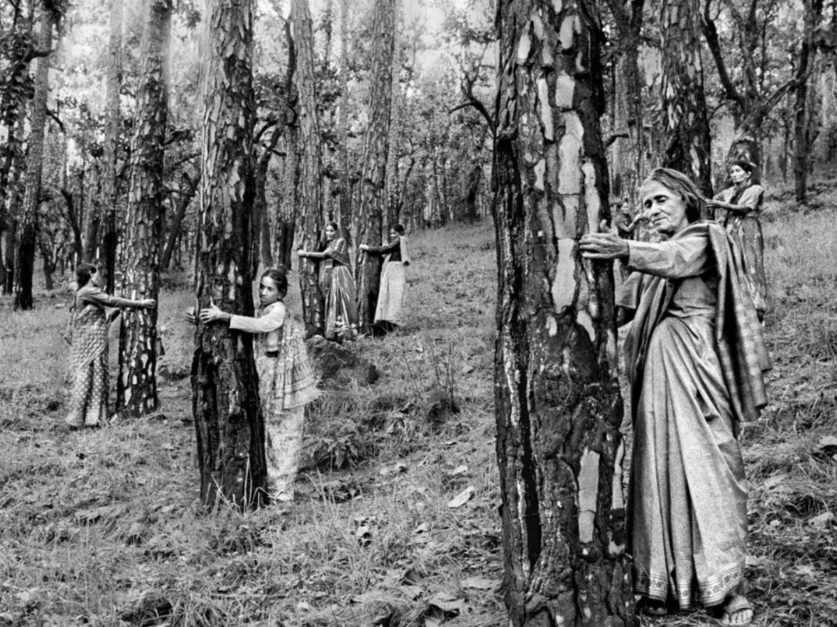 Indian women gather in the forest to embrace the trees as a form of protest against deforestation.